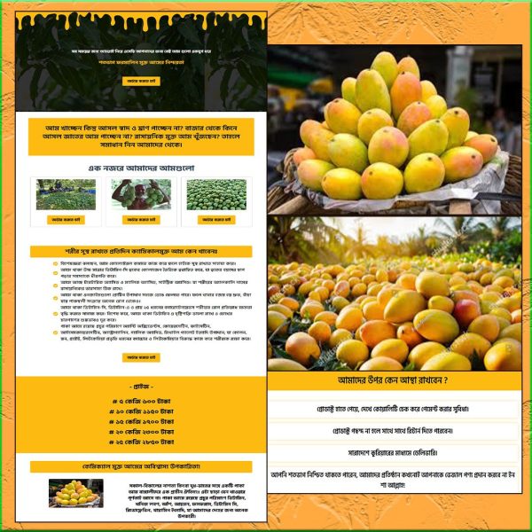 Mango - Cartflows Landing Page